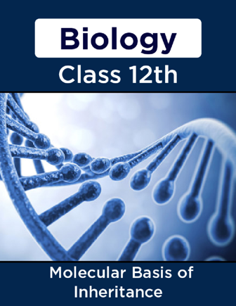 CBSE 12th Biology Chapter – Molecular Basis
